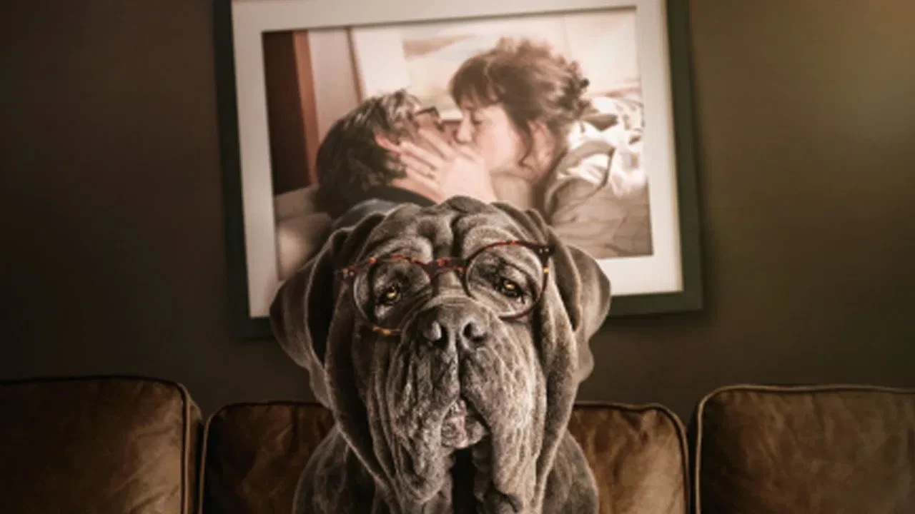 Benim Şapşik Köpeğim