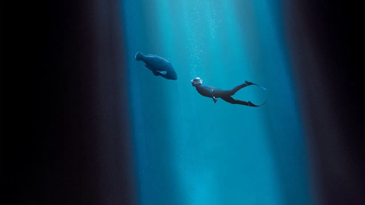 Blueback: Okyanustaki Dost