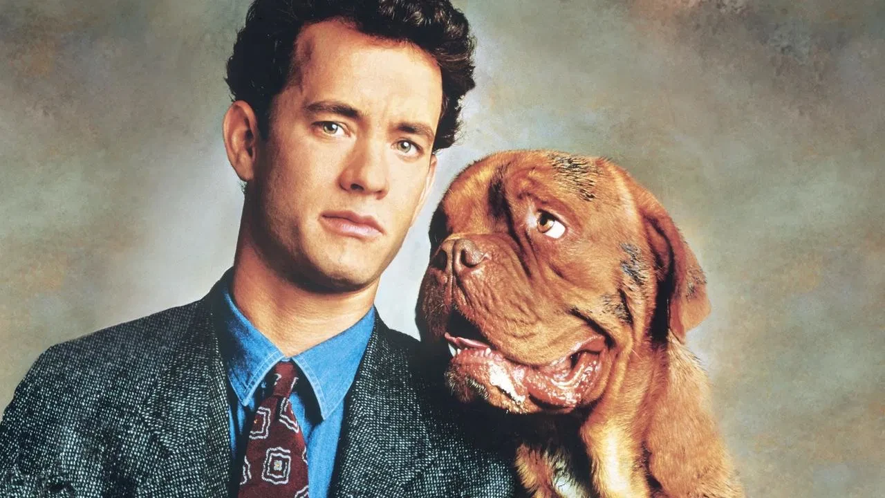 Dikkat Köpek Var