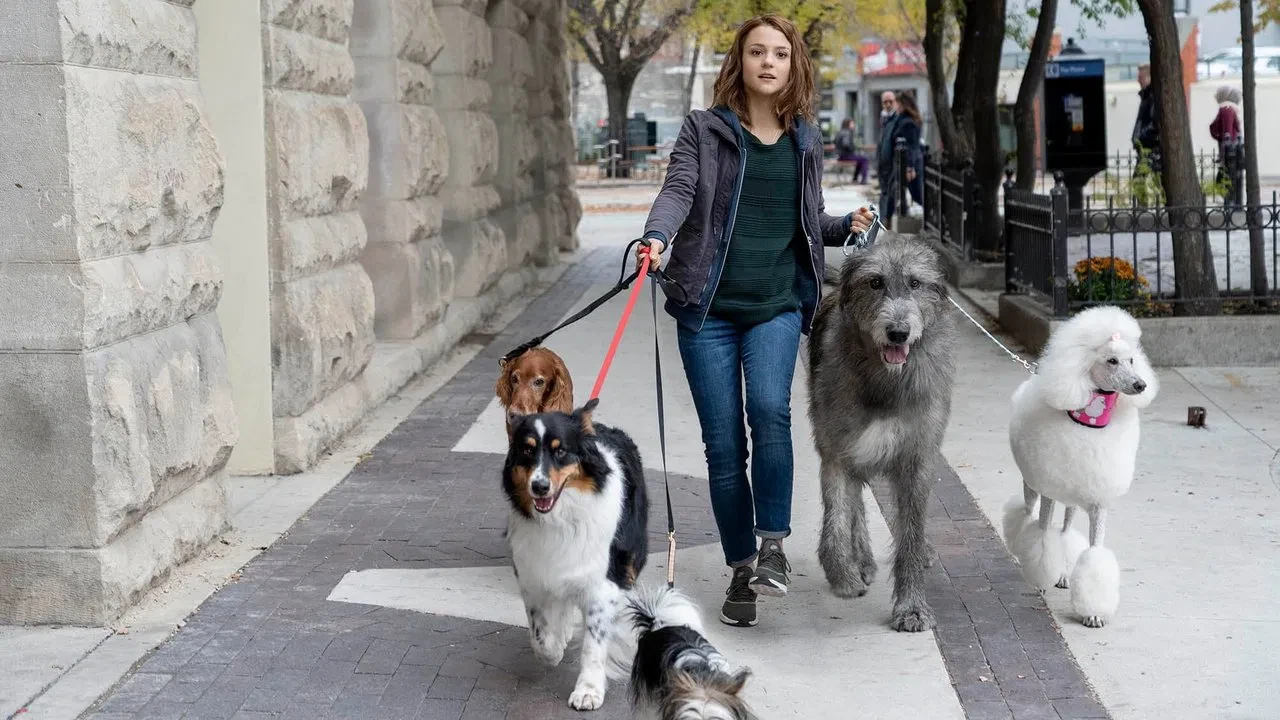 Dostumun Yolculuğu