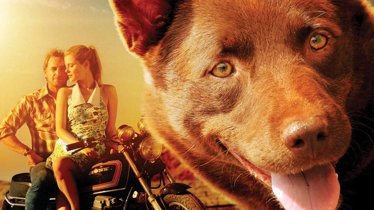 Kırmızı Köpek