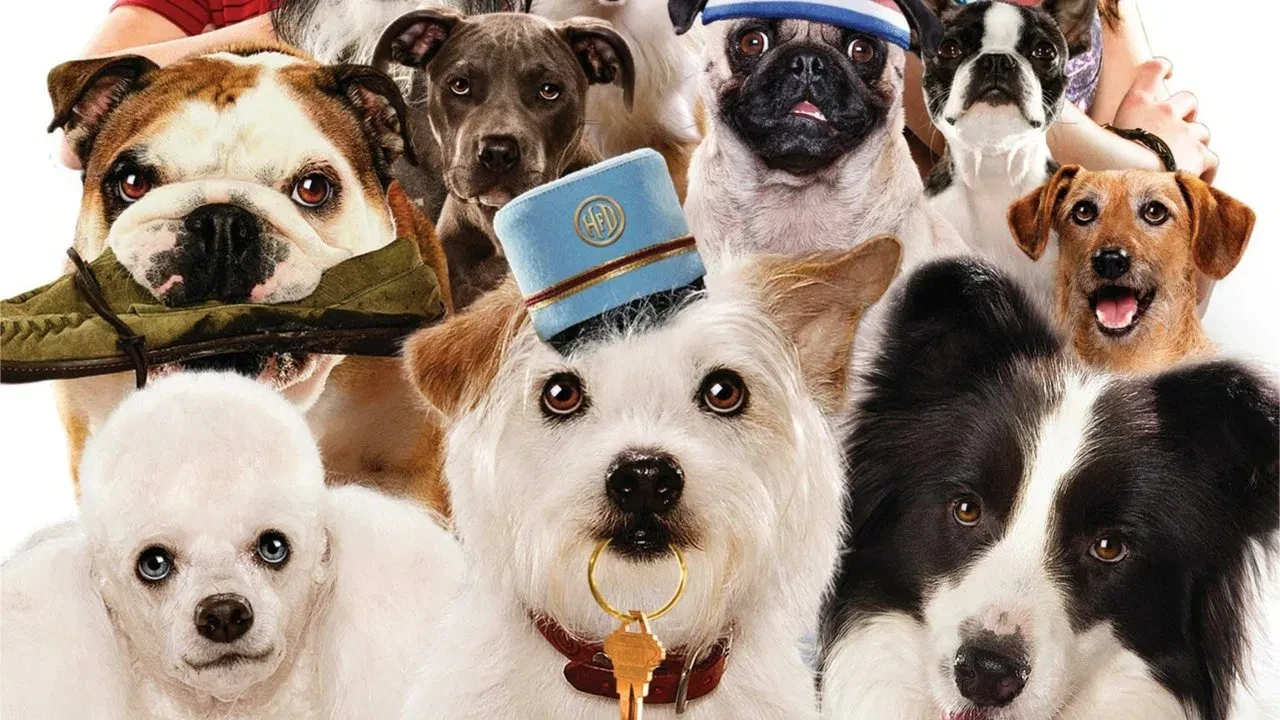 Köpek Oteli