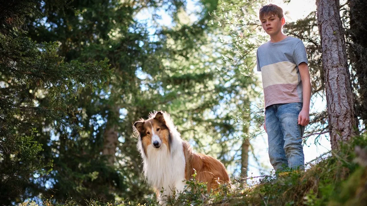 Lassie: Yepyeni Bir Macera