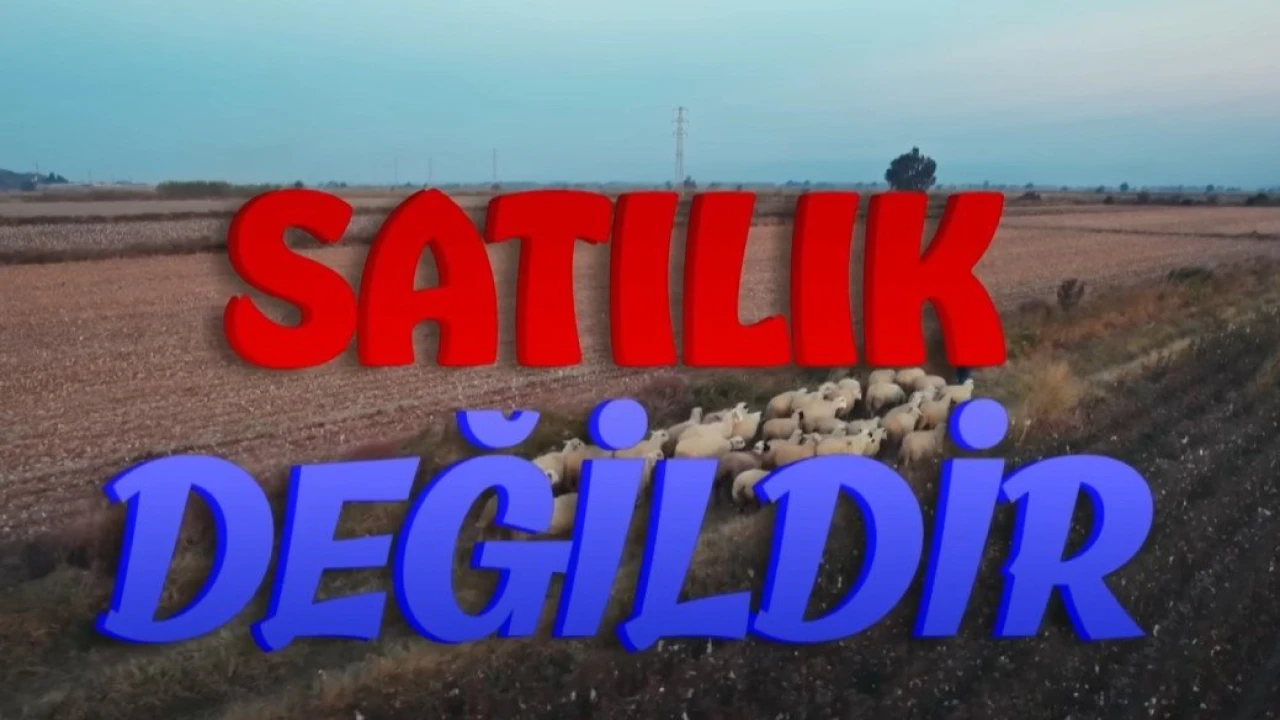 Satılık Değildir