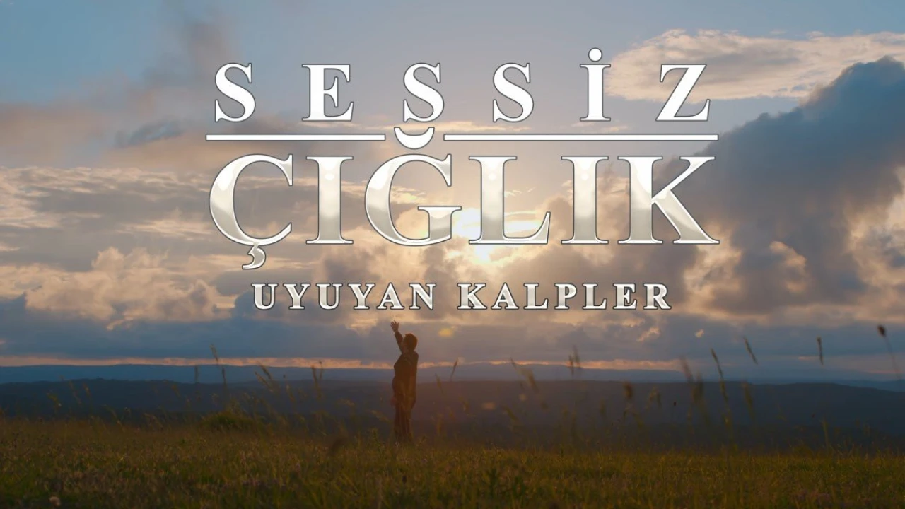 Sessiz Çığlık