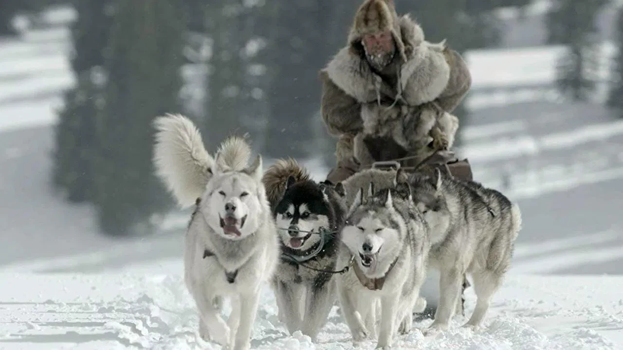The Great Alaskan Race