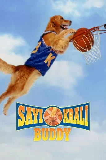Harika Köpek: Sayı Kralı Buddy