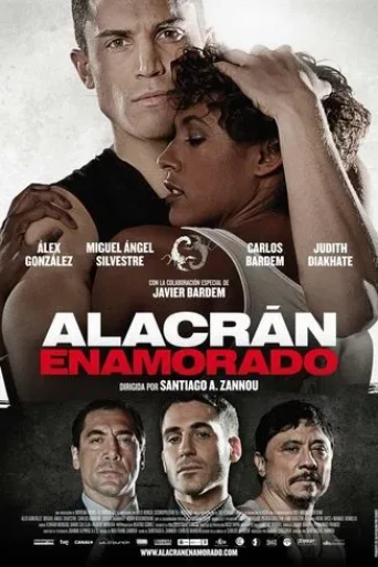 Akrebin Aşkı