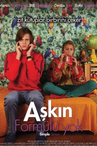Aşkın Formülü Yok