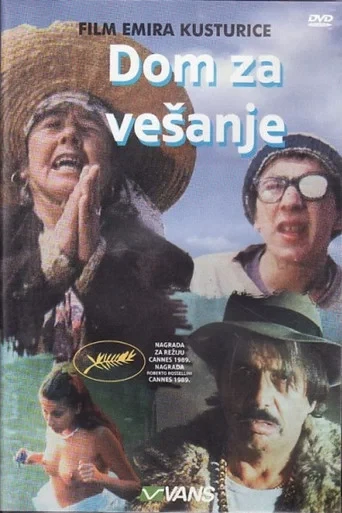 Çingeneler Zamanı