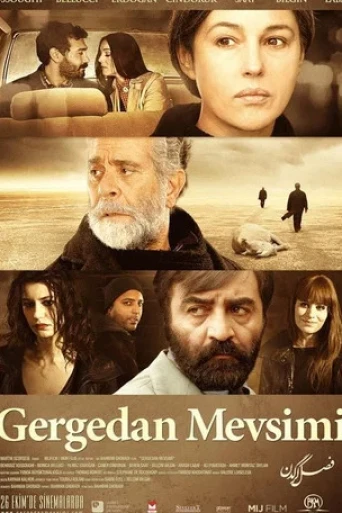 Gergedan Mevsimi
