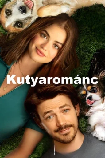 Köpek Sevgisi