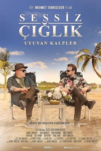 Sessiz Çığlık