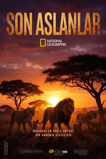 The Last Lions